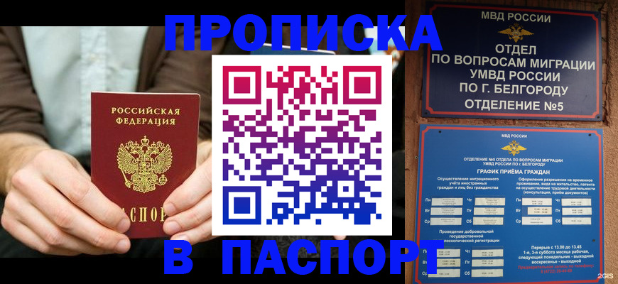 прописка иностранных граждан в Курске